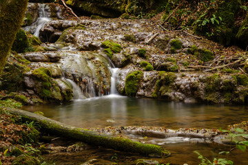 Divji potok stream in Bela krajina, Slovenia