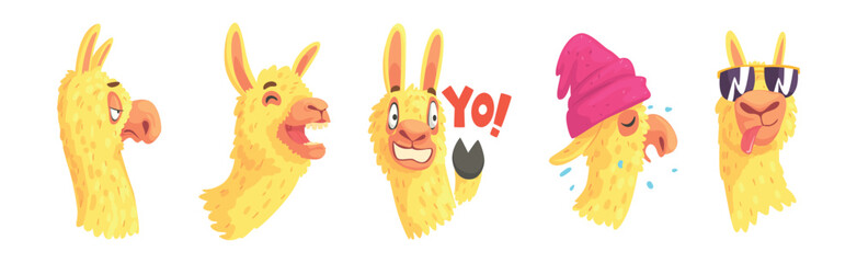 Cute Llama Character Head Emotion and Pose Vector Set © topvectors