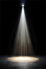 Obraz premium spotlight on stage