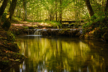 Divji potok stream in Bela krajina, Slovenia
