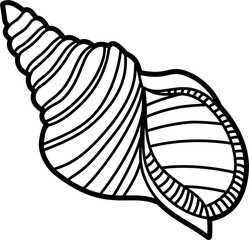 Triton shell outline illustration vector