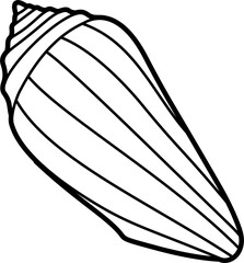 Cone shell outline illustration vector