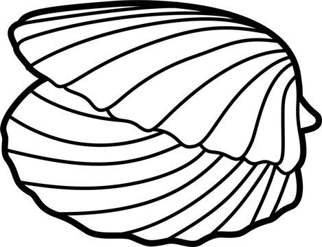 recommend clip art: Clam shell outline illustration vector
