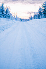 Snow Covered Street Leading into the Forest