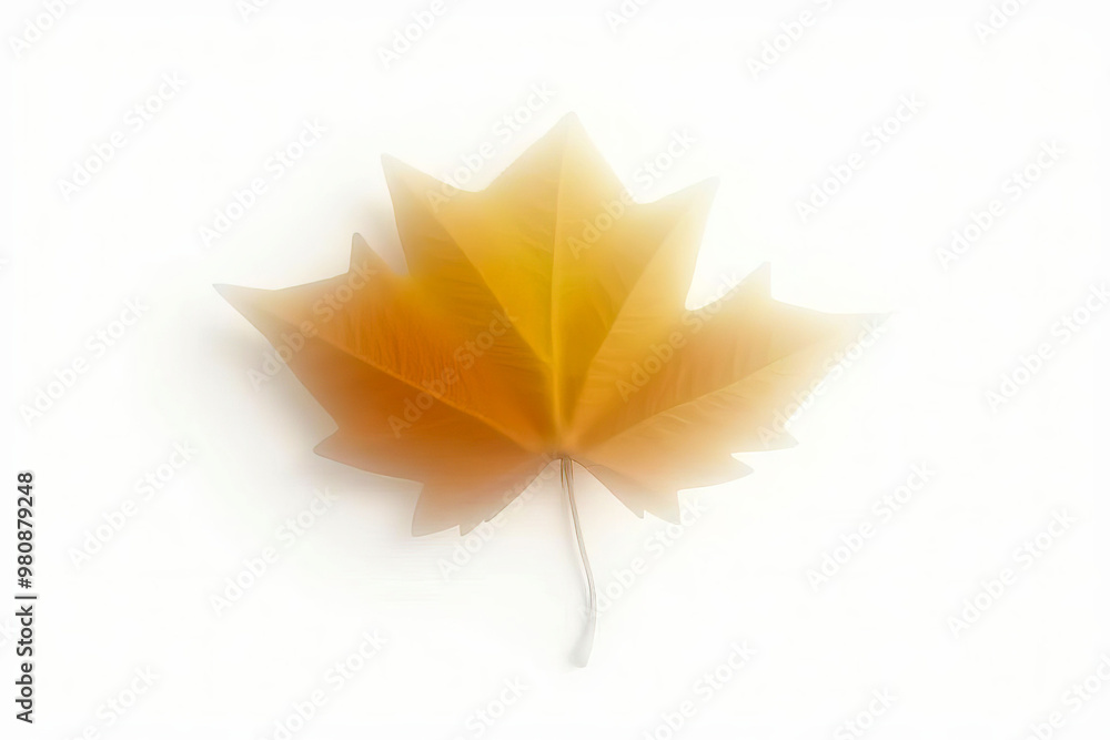 Poster single autumn leaf on white background with free space. the leaves create a sense of movement and ch