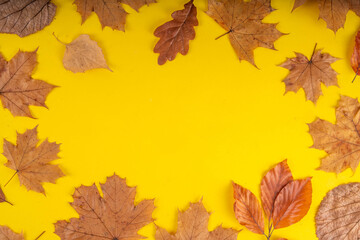 Minimal sparse autumn background with fall leaves