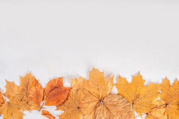 Minimal sparse autumn background with fall leaves