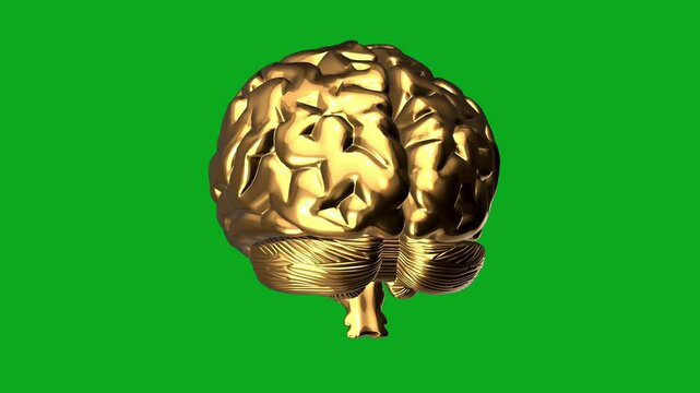 Golden Brain. Golden model rotating on black background.