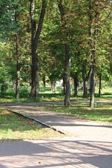 path in the park