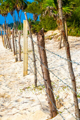 Nature tropical jungle locked up behind wooden barbed wire fence.