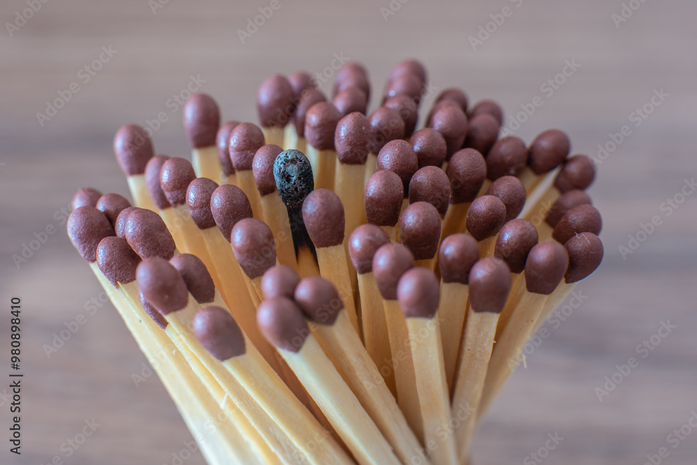 Wall mural standing out. a single burnt matchstick standing out from the crowd, a symbol of endurance.