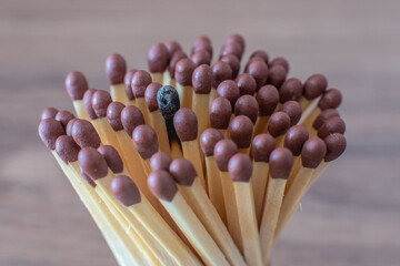Standing Out.
A single burnt matchstick standing out from the crowd, a symbol of endurance.