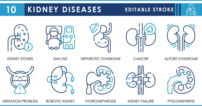 A set of line icons related to Kidney Diseases. Kidney, dialysis, nephrotic, cancer, kidney stone, failure, and so on. Vector editable stroke.