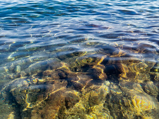 pebble bottom with large stones and seaweed through calm clear transparent sea water. underwater