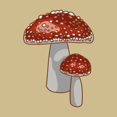 Autumn mushroom red fly agaric