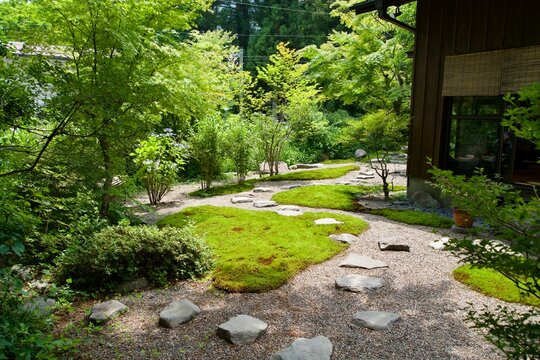 Japanese garden with beautifully maintained stones and moss