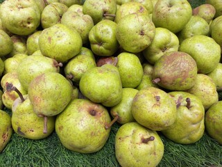 The pear is a sweet-tasting pip fruit of which there are two thousand varieties india,Sweet gree fresh Pear pic