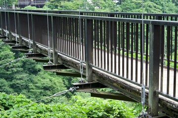 The view of Kinugawatateiwaotsuri Bridge
