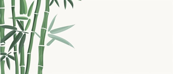 Naklejka premium A bamboo plant with a white background