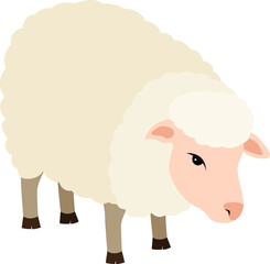 Naturally Raised Sheep animal isolate illustration design