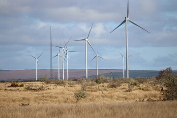 Wind farm in Ireland