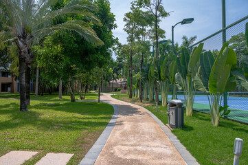 walkway in the park