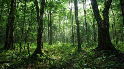 The interaction between forest ecosystems and local communities is important for sustainable development