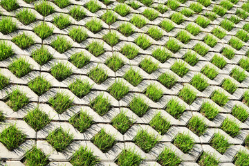Polymer-sanded lawn grating for the construction of eco-parks