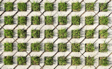 Polymer-sanded lawn grating for the construction of eco-parks