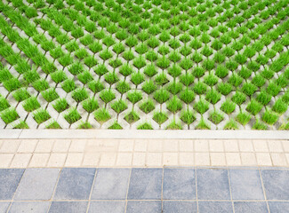 Polymer-sanded lawn grating for the construction of eco-parks