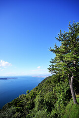 展望台から眺める鹿児島の景色