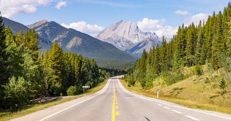 Naklejka premium Scenic Mountain Road in Alberta, Canada Surrounded by Lush Green Forests and Majestic Rocky Mountains