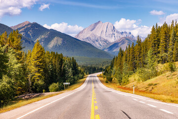 Scenic Road Through Stunning Mountain Landscape in Alberta, Canada with Clear Sky and Evergreen Forest