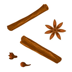 Two cinnamon sticks, coriander, clove isolated on white background. Aromatic spice. Hand drawn vector cartoon illustration. Food icon. Condiment for mulled wine.