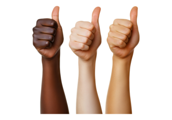 group of hands giving thumbs up. Transparent background, Isolated PNG.