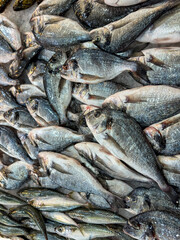 Views around the Fish and meat market of Athens