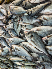 Views around the Fish and meat market of Athens