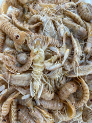 Views around the Fish and meat market of Athens