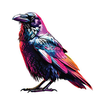 recommend clip art: Vector illustration of a crow