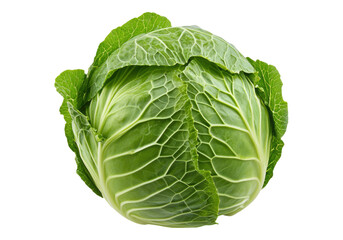 Obraz premium Raw cabbage. Transparent background, Isolated PNG.