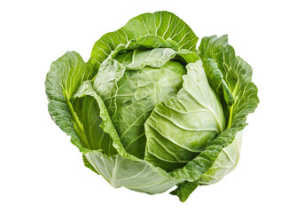Obraz premium Raw cabbage. Transparent background, Isolated PNG.