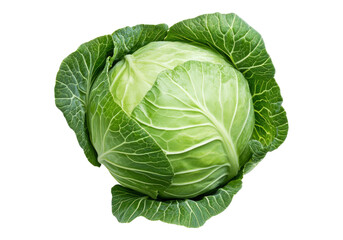 Fototapeta premium Raw cabbage. Transparent background, Isolated PNG.
