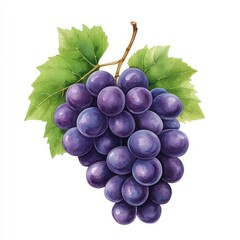Fototapeta premium Fresh and juicy purple grape bunch with vibrant green leaves, perfect for illustrating healthy eating and nature's bounty.