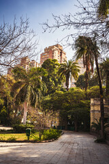 park in the city of cairo