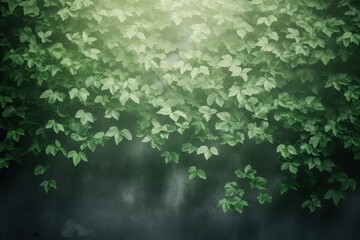 A green wall with green leaves and shadows outdoors nature forest.