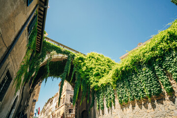 View of the Arco Farnese , Arch Farnese in Via Giulia, Rome, Italy - may 2 2024