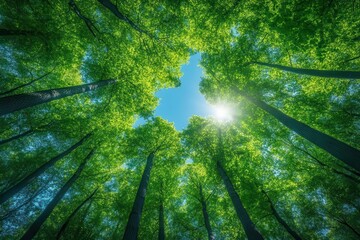 Fototapeta premium upward view of lush green treetops against clear blue sky verdant foliage sunlight filtering through leaves environmental conservation concept fresh perspective