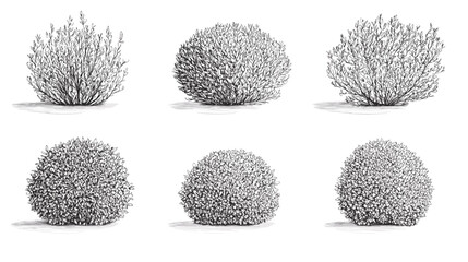 Set of vector bush illustrations on a white background. Architectural Drawings, Minimal style cad bush drawing, Side view, set of graphics bushes elements outline symbol for landscape design drawing