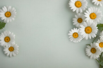 flowers on a light green background