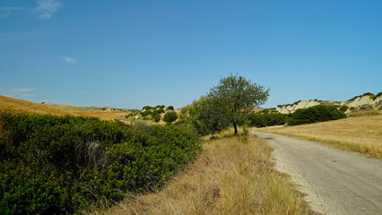 Aliano, i calanchi Lucani,Matera,Basilicata,Italy